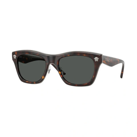 Fashion VS temple sunglasses polarized glasses 2272