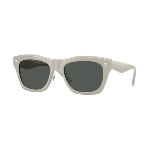 Fashion VS temple sunglasses polarized glasses 2272