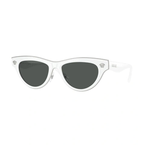 Fashion VS temple sunglasses polarized glasses 2273