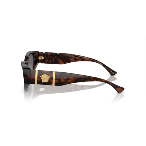 Fashion VS temple sunglasses polarized glasses 4454