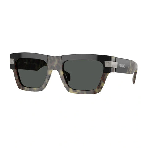 Fashion VS temple sunglasses polarized glasses 4464