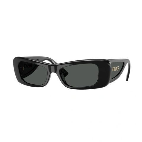 Fashion VS temple sunglasses polarized glasses 4481