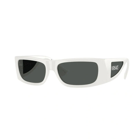 Fashion VS temple sunglasses polarized glasses 4482