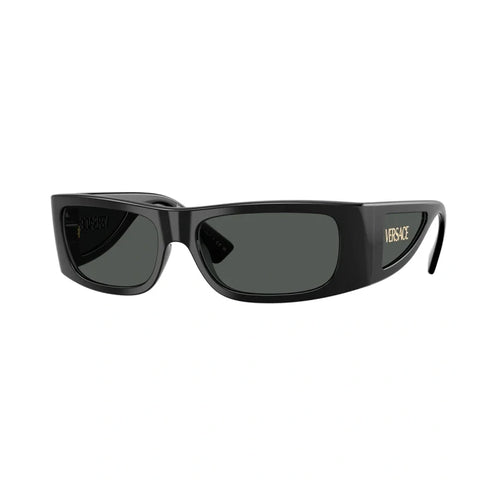 Fashion VS temple sunglasses polarized glasses 4482